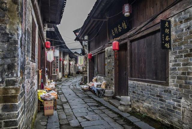 小红帽的冒险之旅